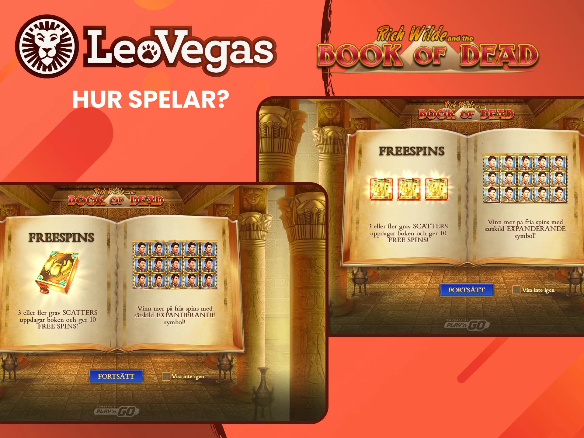 Du hittar spelet Book of Dead i casinosektionen på Leovegas webbplats.